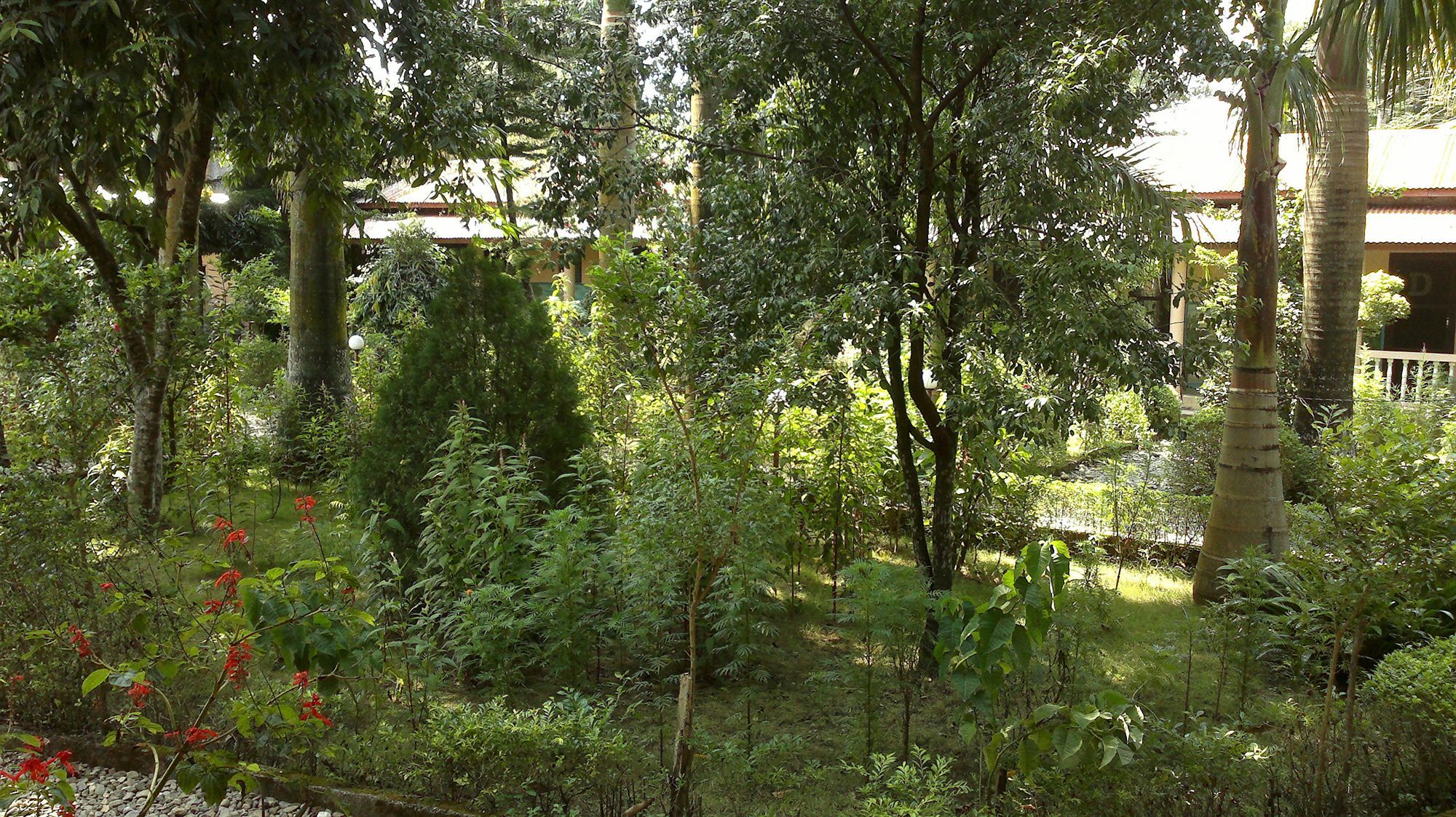 Ama Garden Sauraha Hotel Exterior foto