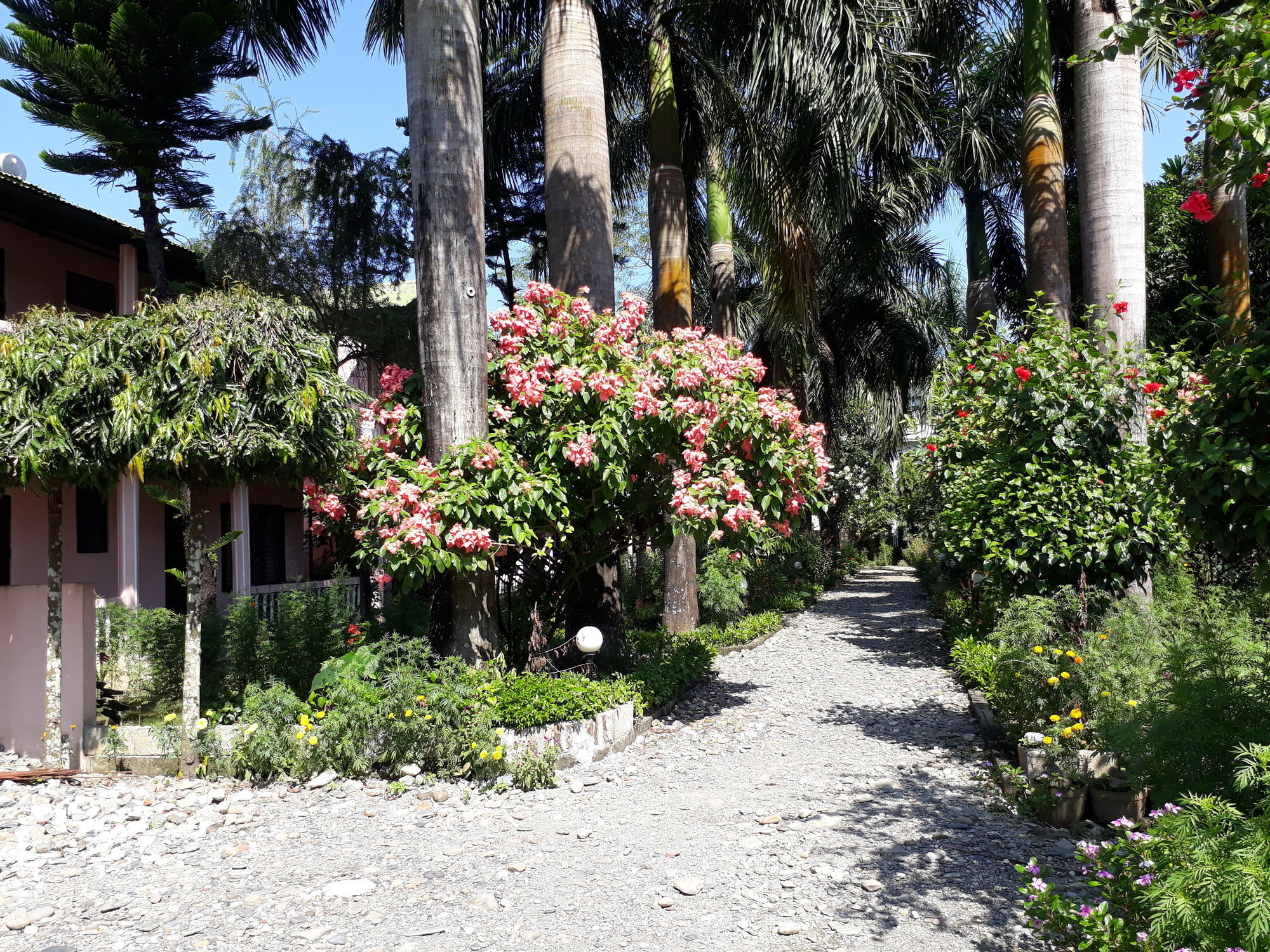 Ama Garden Sauraha Hotel Exterior foto