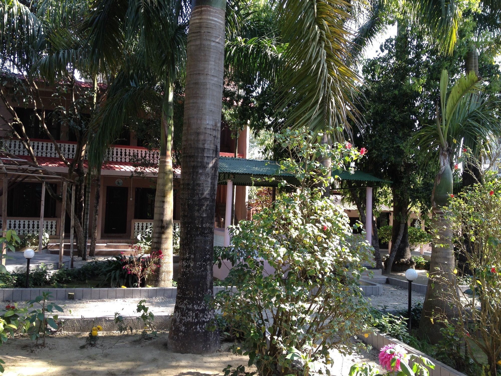 Ama Garden Sauraha Hotel Exterior foto