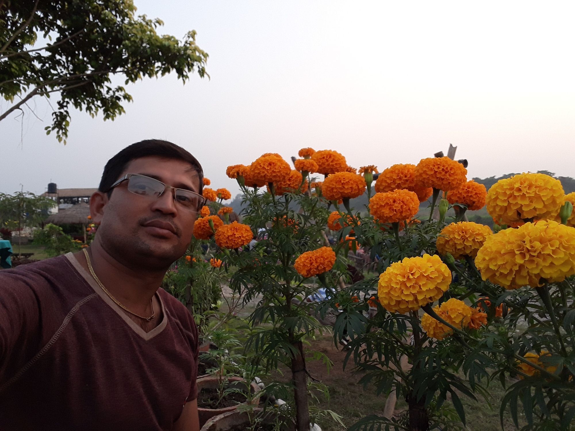 Ama Garden Sauraha Hotel Exterior foto