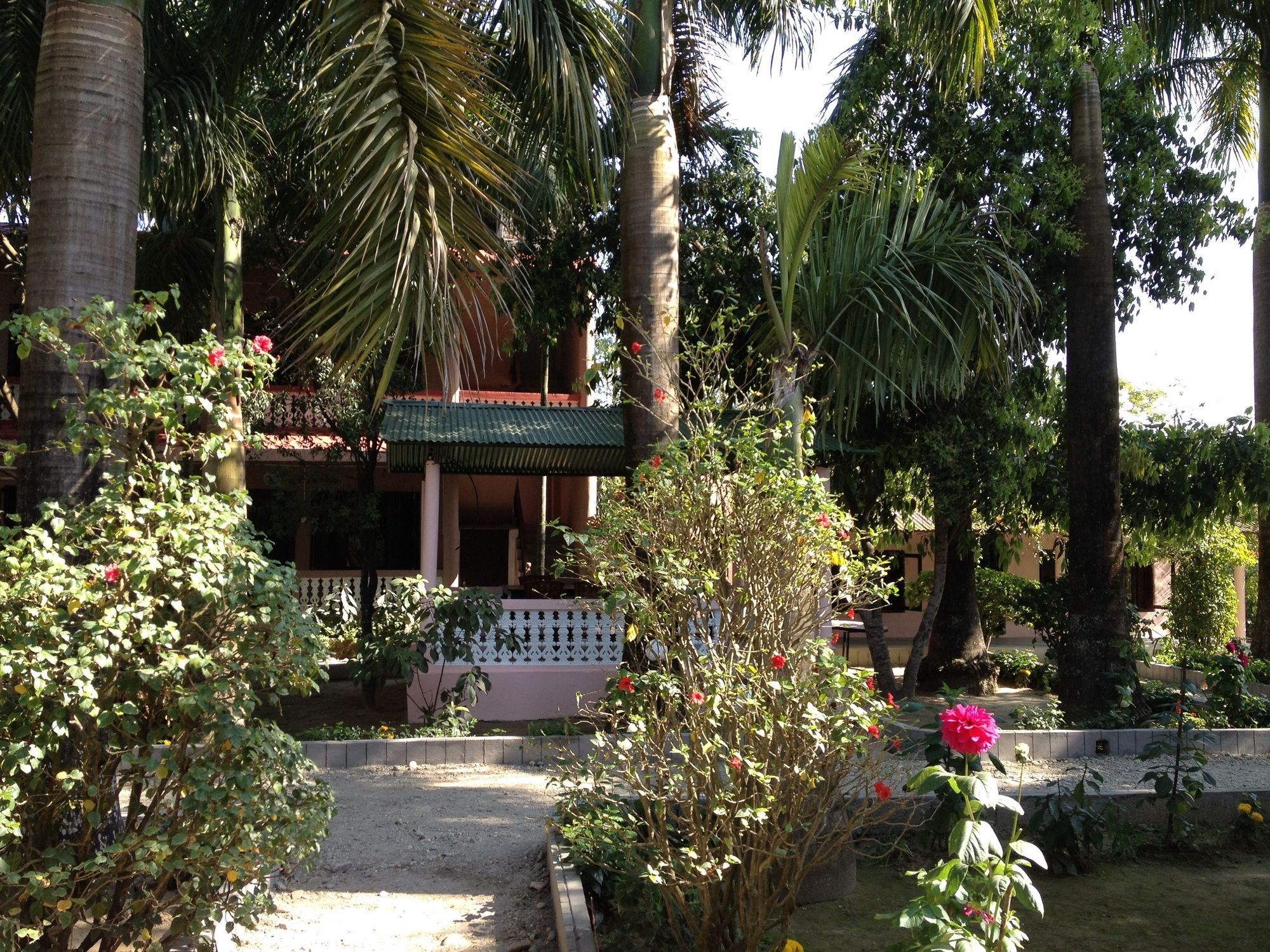 Ama Garden Sauraha Hotel Exterior foto