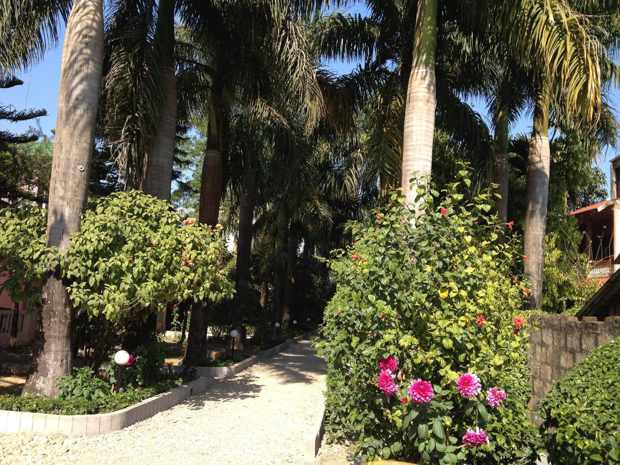 Ama Garden Sauraha Hotel Exterior foto