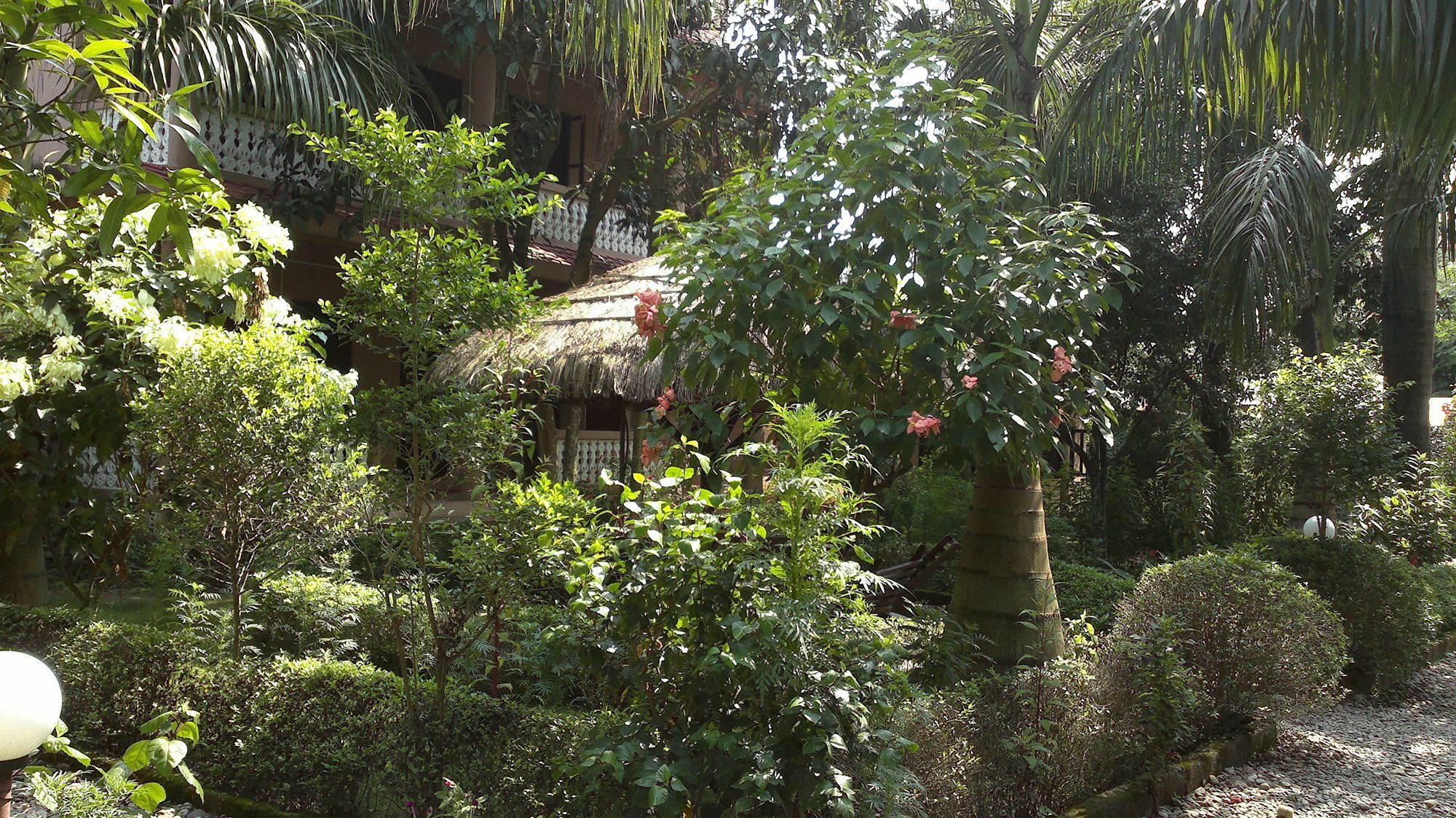 Ama Garden Sauraha Hotel Exterior foto