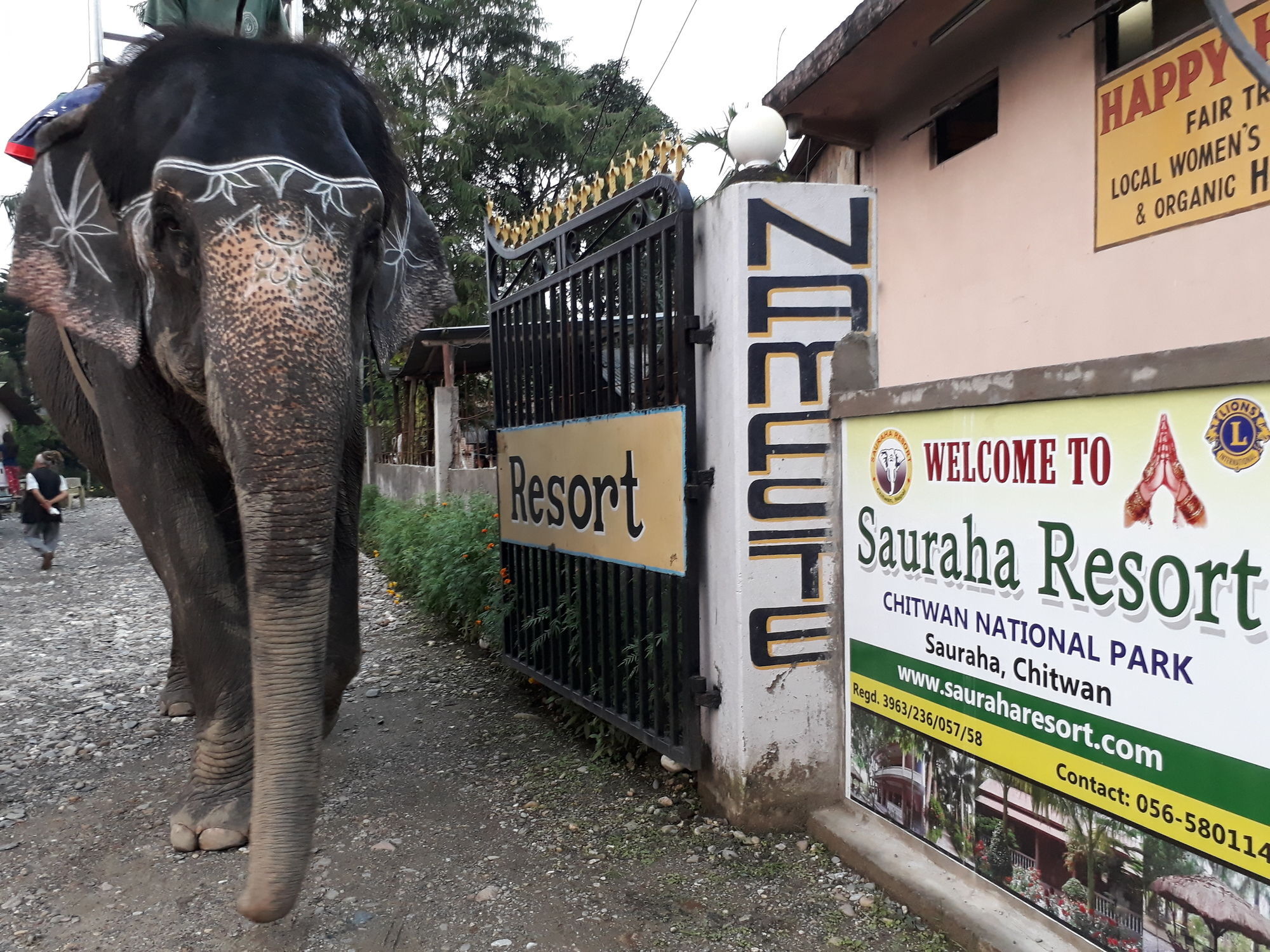 Ama Garden Sauraha Hotel Exterior foto
