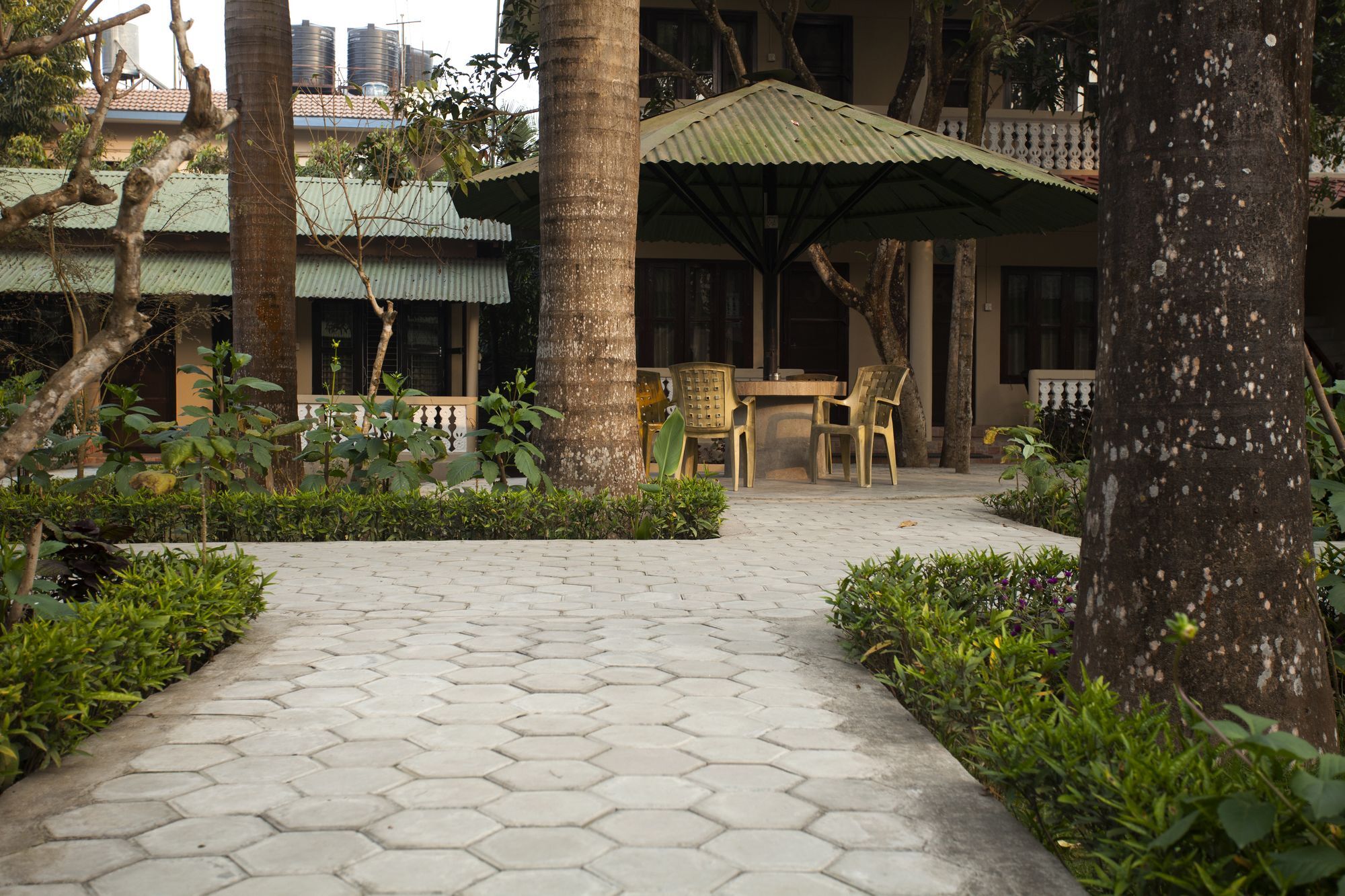 Ama Garden Sauraha Hotel Exterior foto