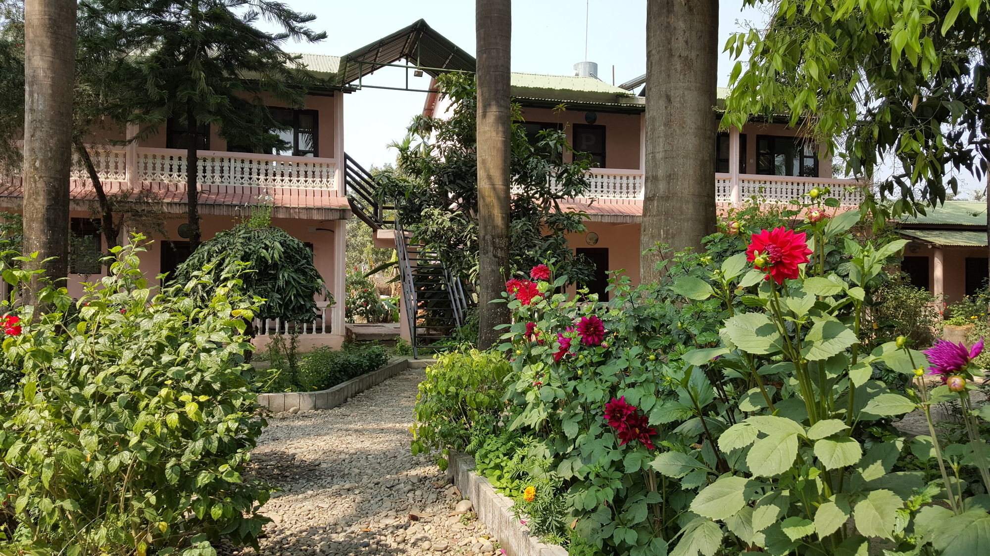 Ama Garden Sauraha Hotel Exterior foto